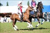 UKPA NC SAT_2264